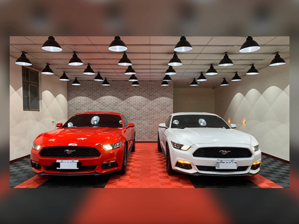 膜淨車體美研工藝