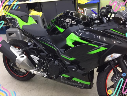 Diamond Fox頂級車體美研