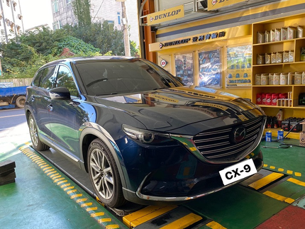 Dunlop 登祿普輪胎 - 新進汽車