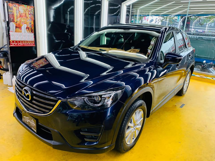 膜特頂級美車工藝