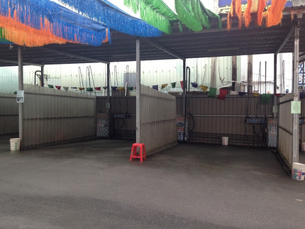 水立方自助洗車