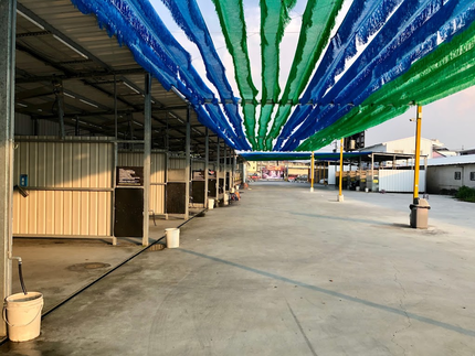 愛車投幣自助洗車